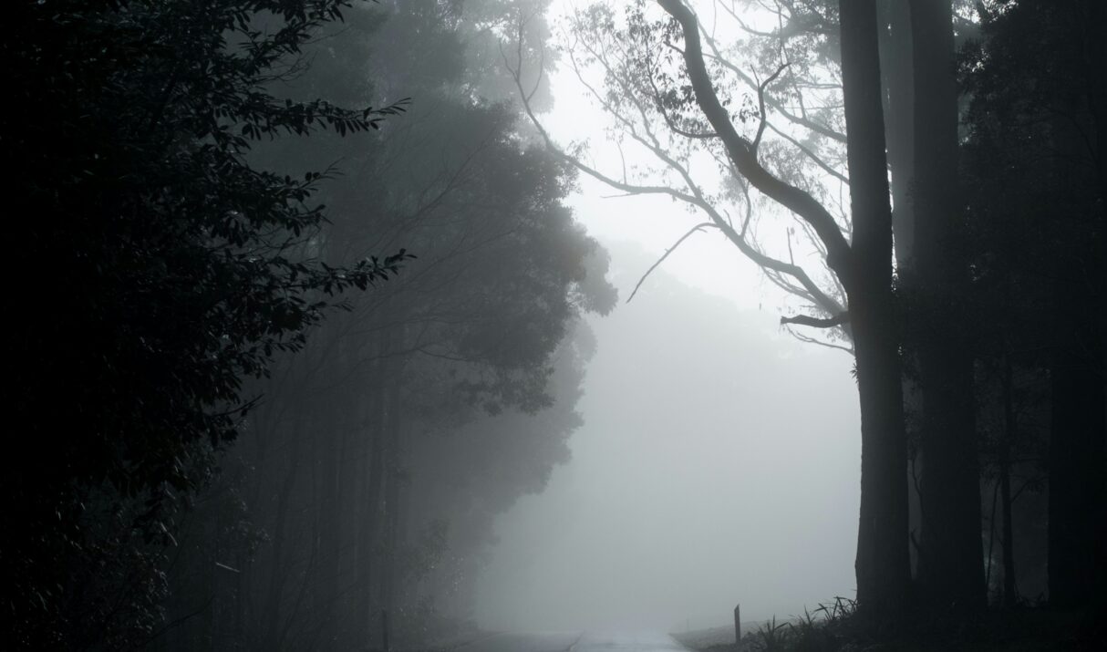 Fear as an Adaptive Mechanism: How Survival Strategies become Identity